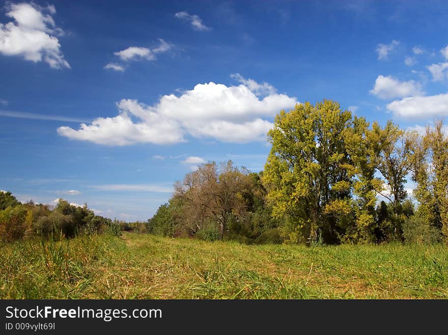 Autumn landscape - green  trees, blue sky