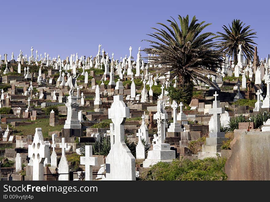 Old Large Cemetery With Many Graves and Gravestones During Daylight In Sydney Australia