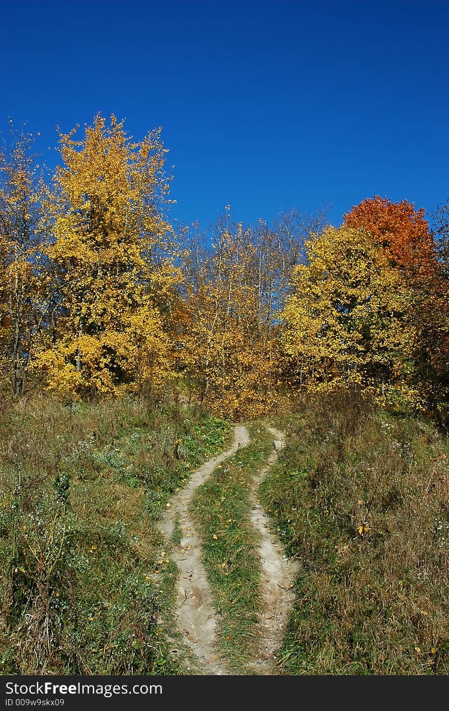 Autumn rural landscape