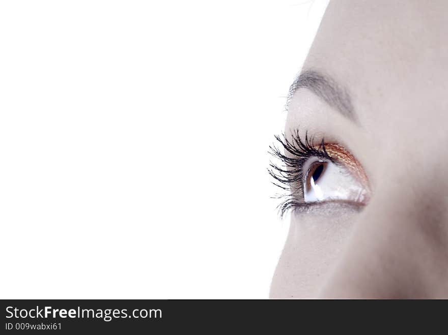 Picture of dreamy female beautiful eye. Picture of dreamy female beautiful eye