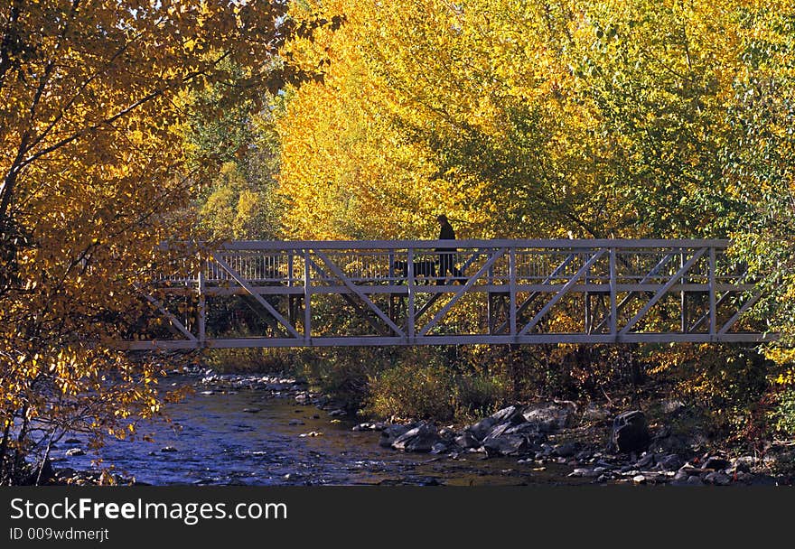 Fall colours with bridge