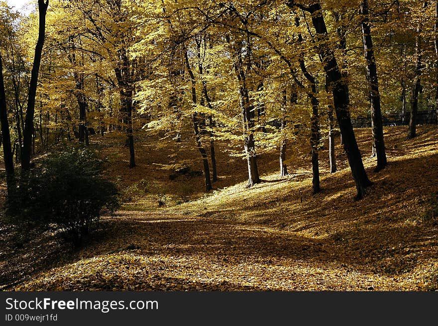 Morning in autumn park