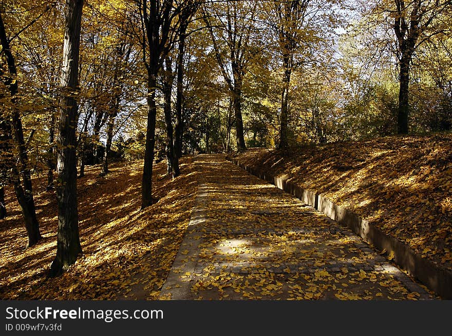 In the autumn in park. In the autumn in park