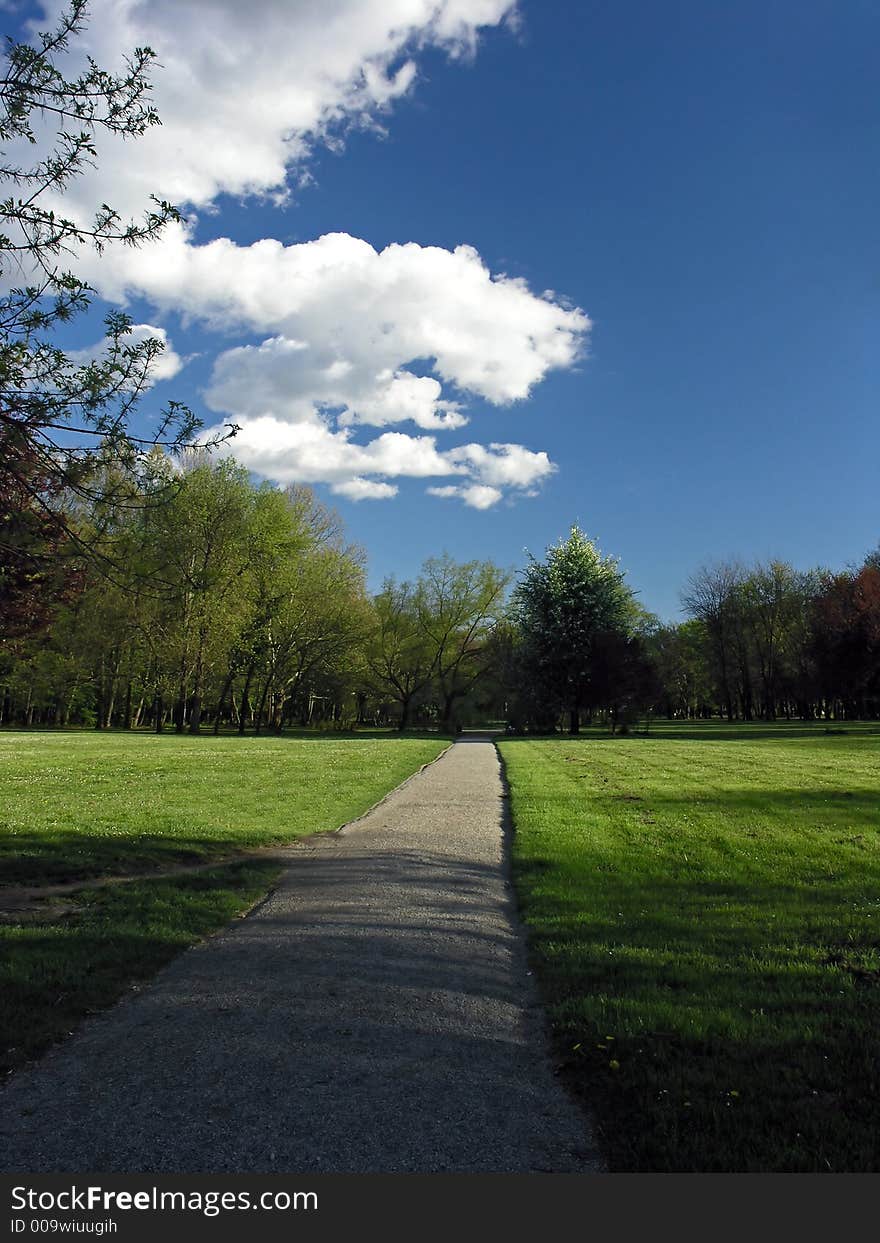 Path and meadow in a park