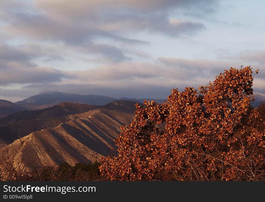 Mountain and tree on the sunrise in Crimea. Mountain and tree on the sunrise in Crimea