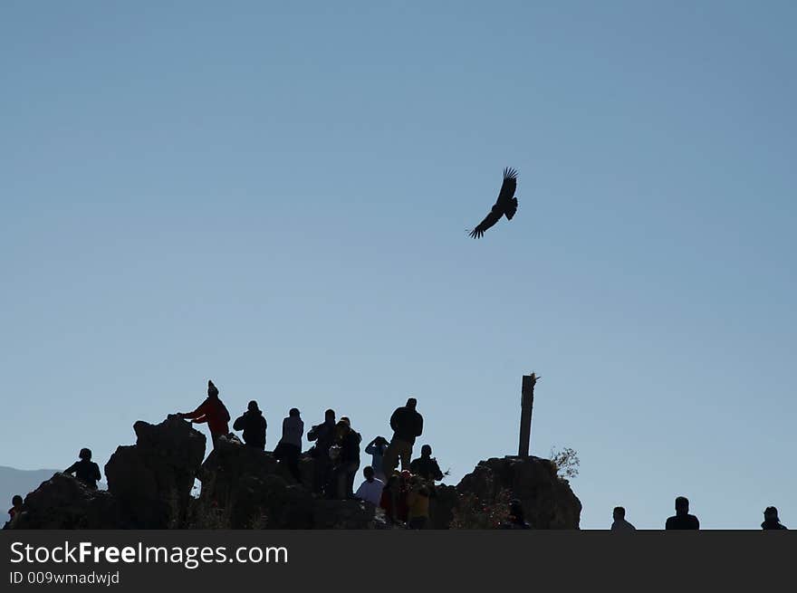 People silhouette and flying condor. People silhouette and flying condor