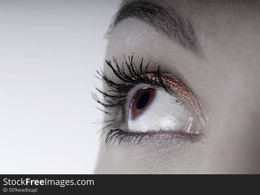 Picture of dreamy female beautiful eye