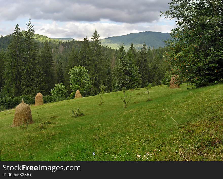 Mountainous green meadow with stacks of hay (Slavske village, Carpathian Mt's, Ukraine). Mountainous green meadow with stacks of hay (Slavske village, Carpathian Mt's, Ukraine)