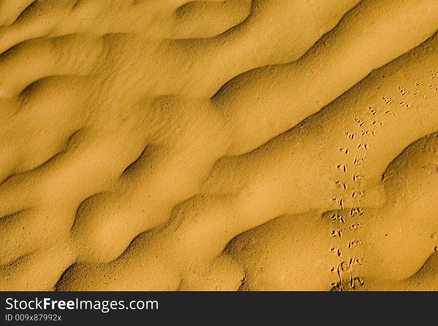 Single track on yellow sand dunes - Sahara desert