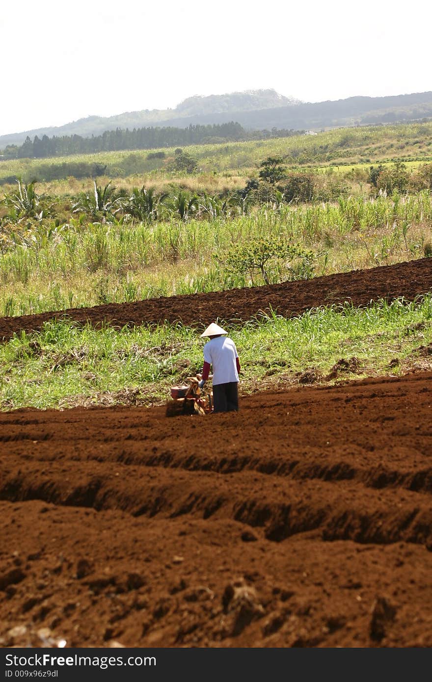 Organic farmer plowing his fields