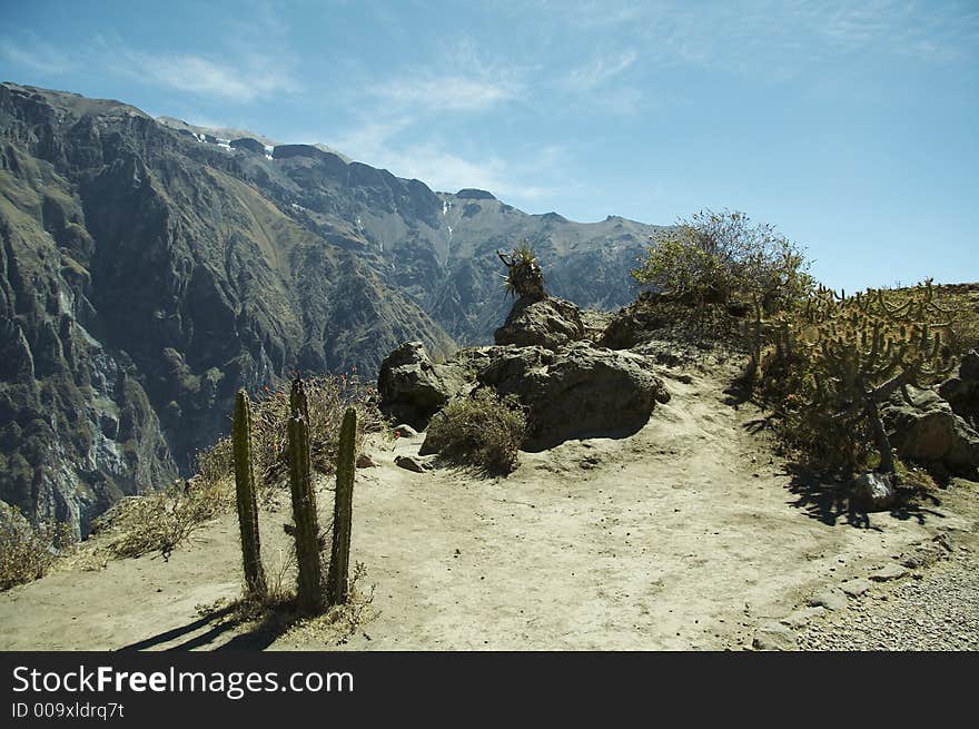 Landscape  in the Andes,Peru. Landscape  in the Andes,Peru