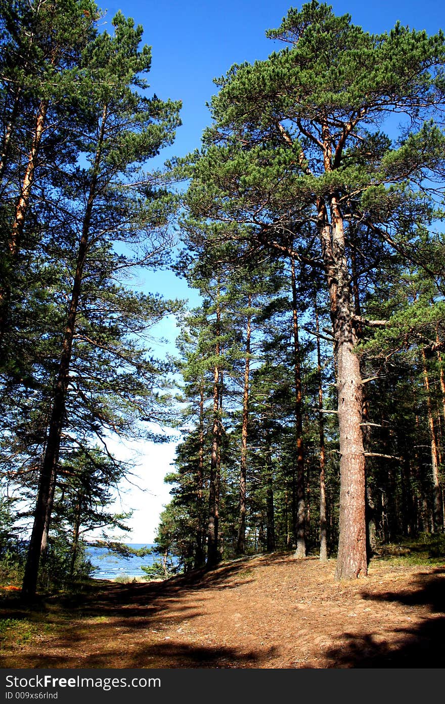 Lake Ladoga. A beach.