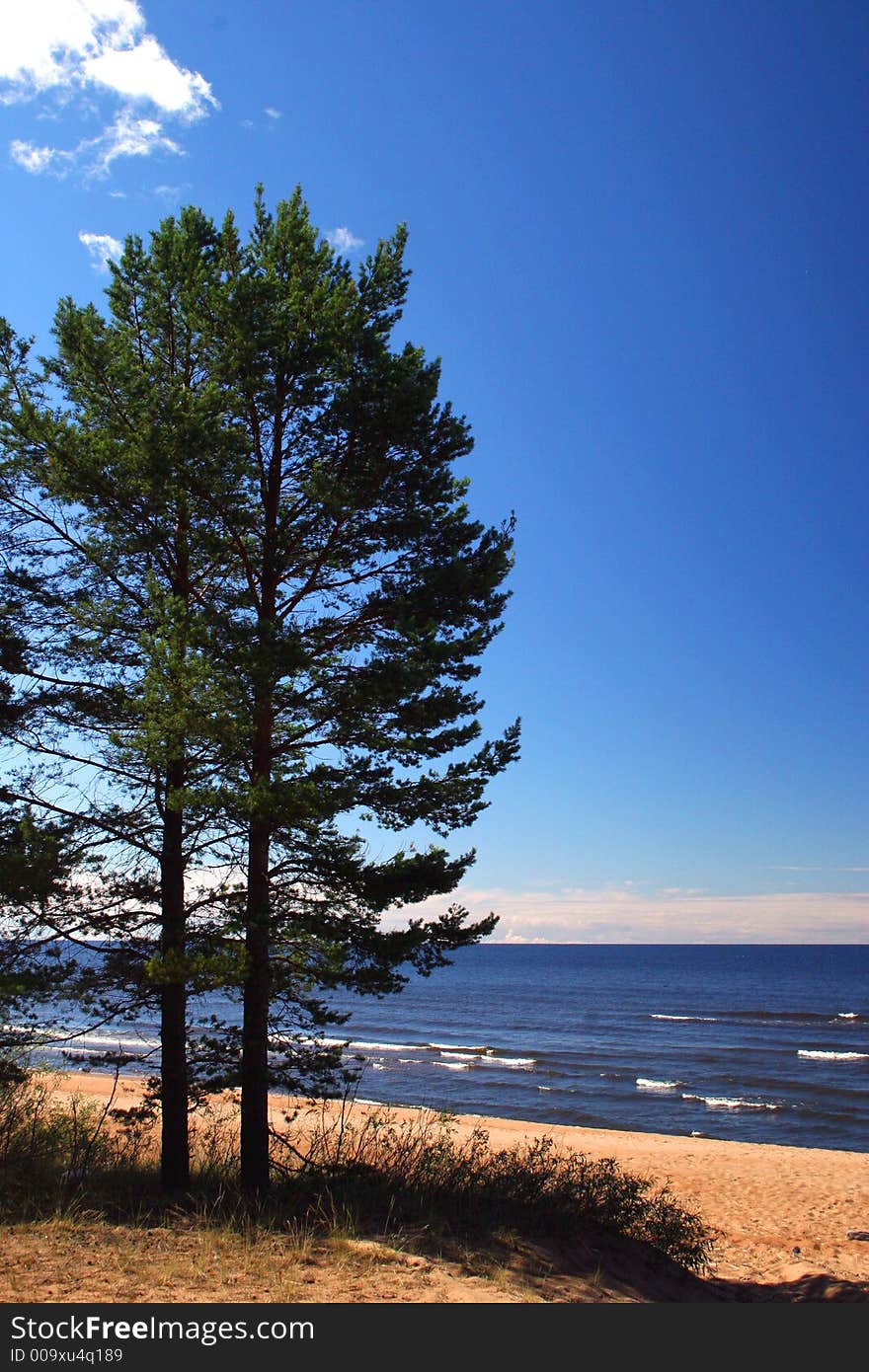 Lake Ladoga. A beach.