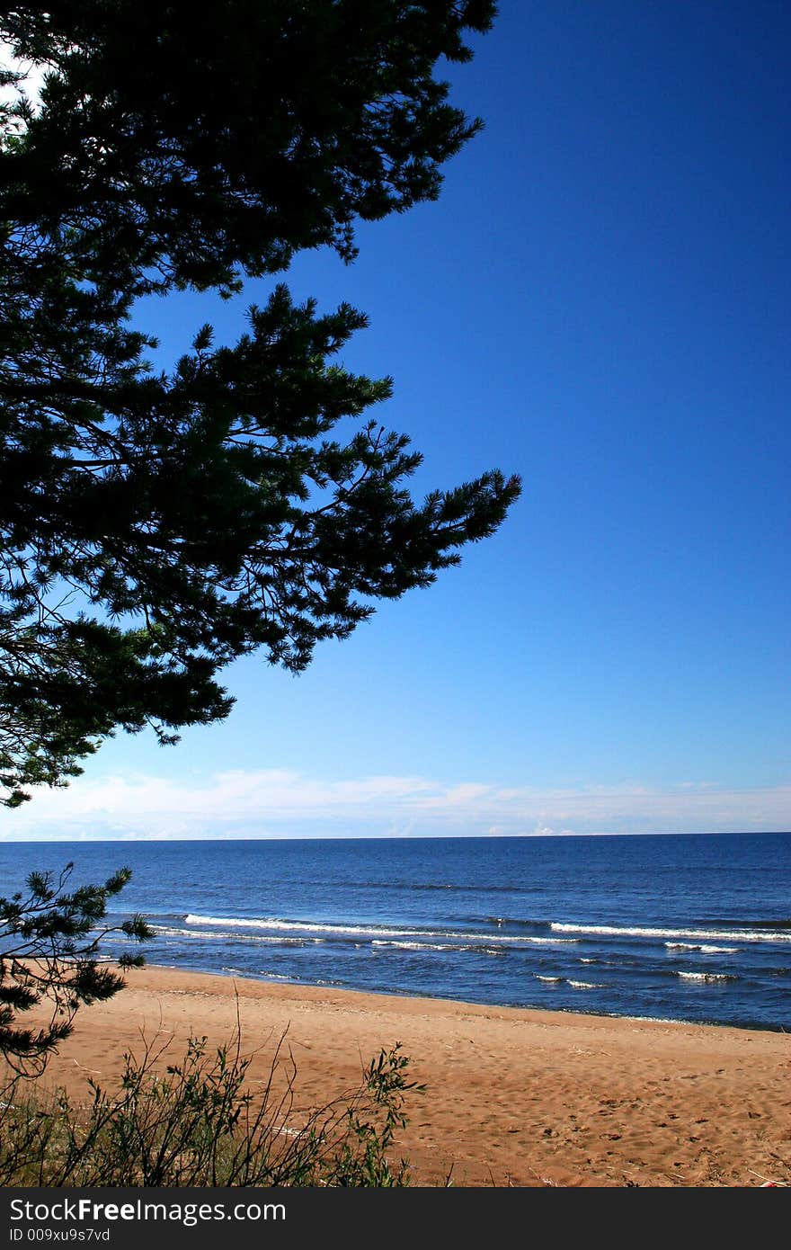 Lake Ladoga. A Beach.