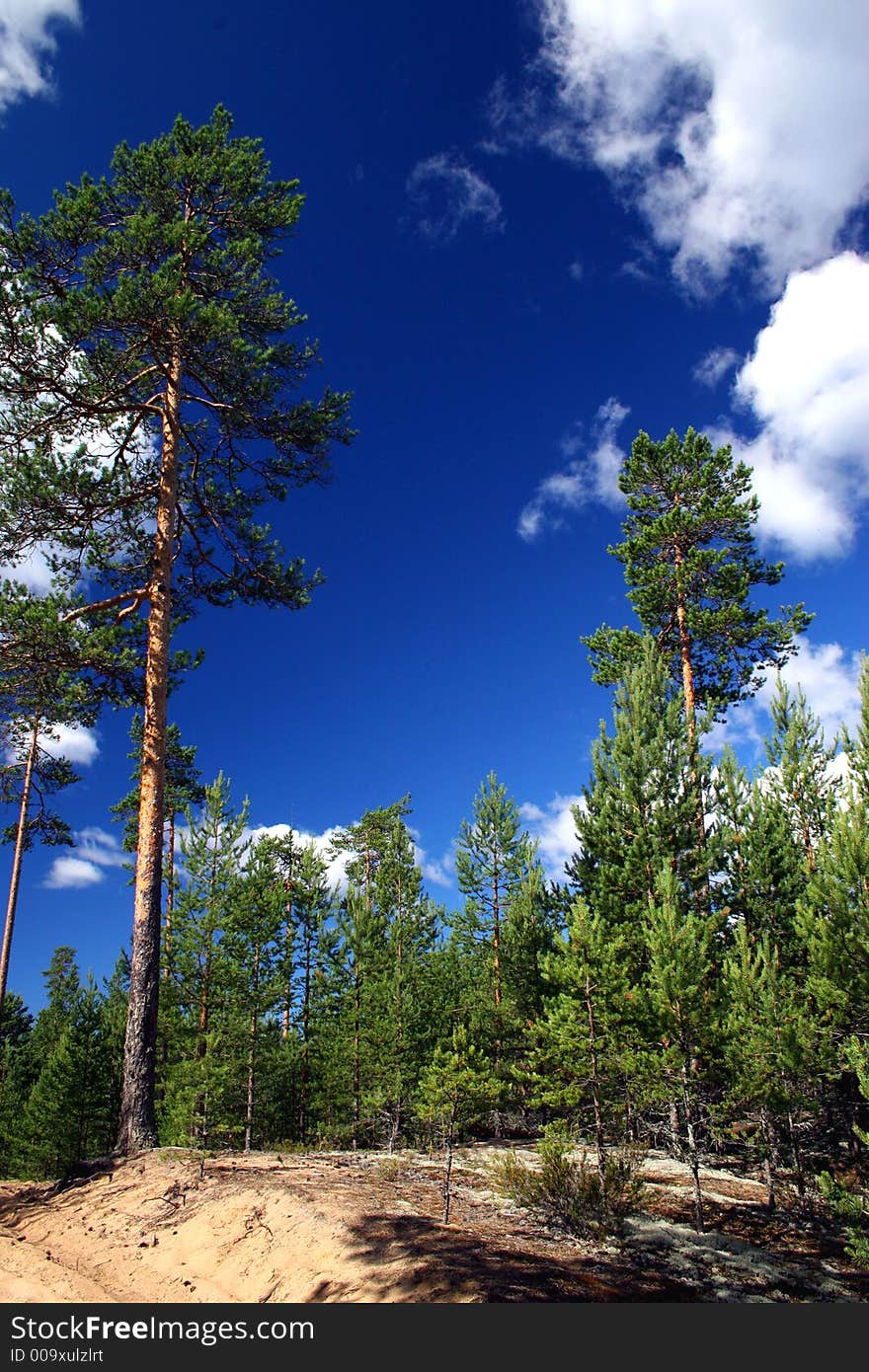 Lake Ladoga. A Beach.