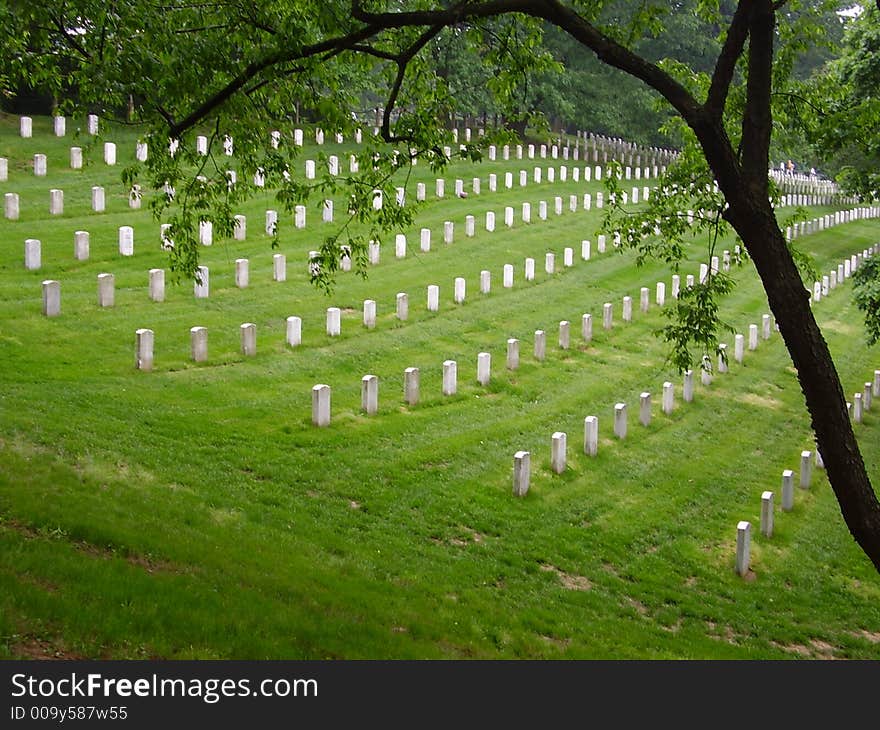 Headstones on a Hill