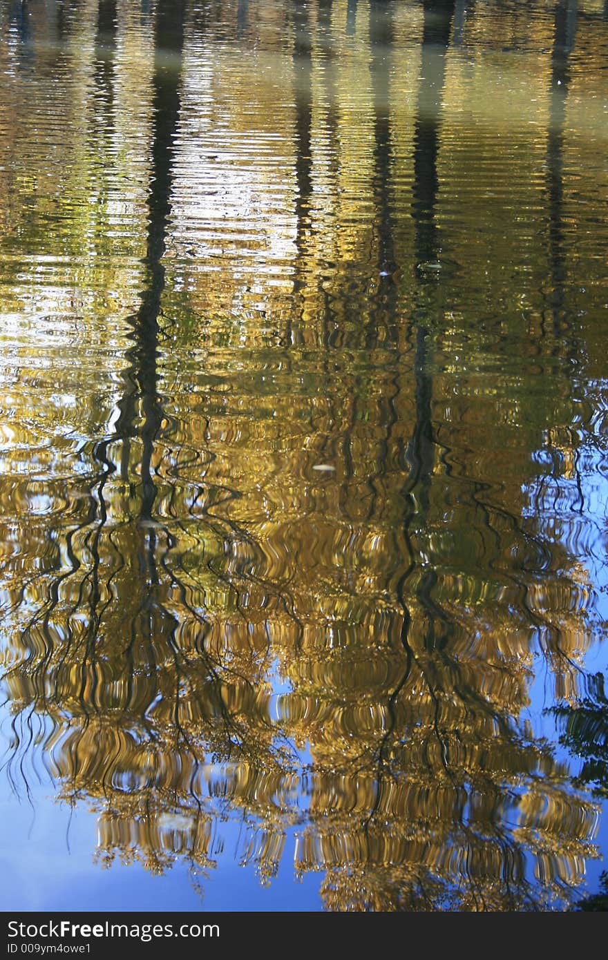 A reflection of fall colors from a pond at the farm #2. A reflection of fall colors from a pond at the farm #2