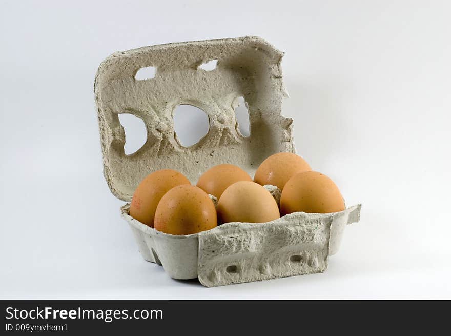 Fresh Eggs