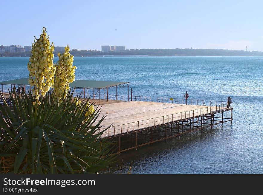 Palm tree, pier, the man and the woman. Romance.