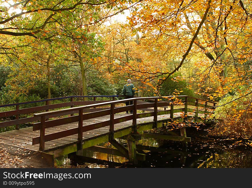 Autumn in a park in Holland. Autumn in a park in Holland