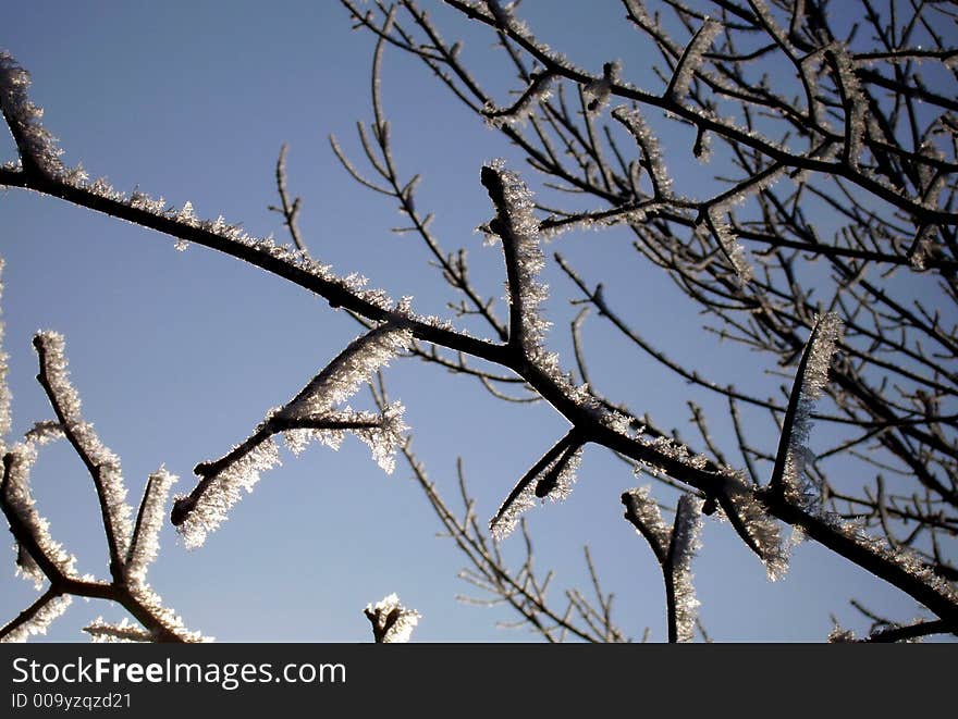 Hoarfrost