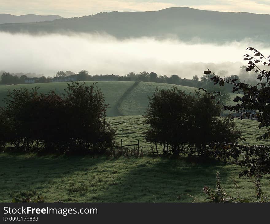 Early Morning Mist And Dew