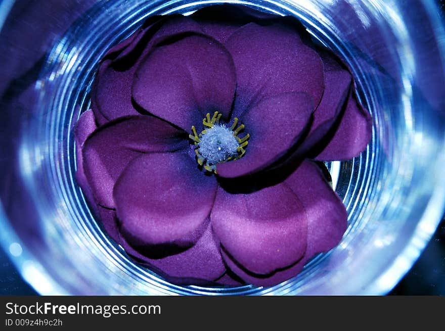 Flower in glass