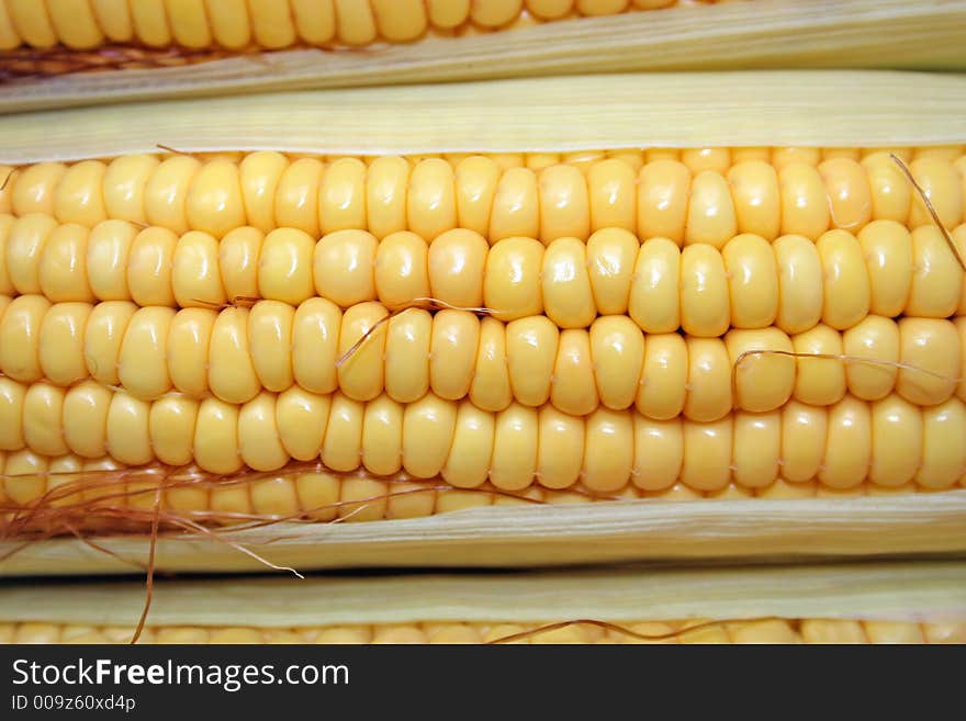 Close up of the corn cob