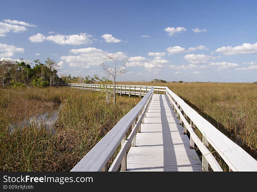 Observation trail in the everglades. Observation trail in the everglades