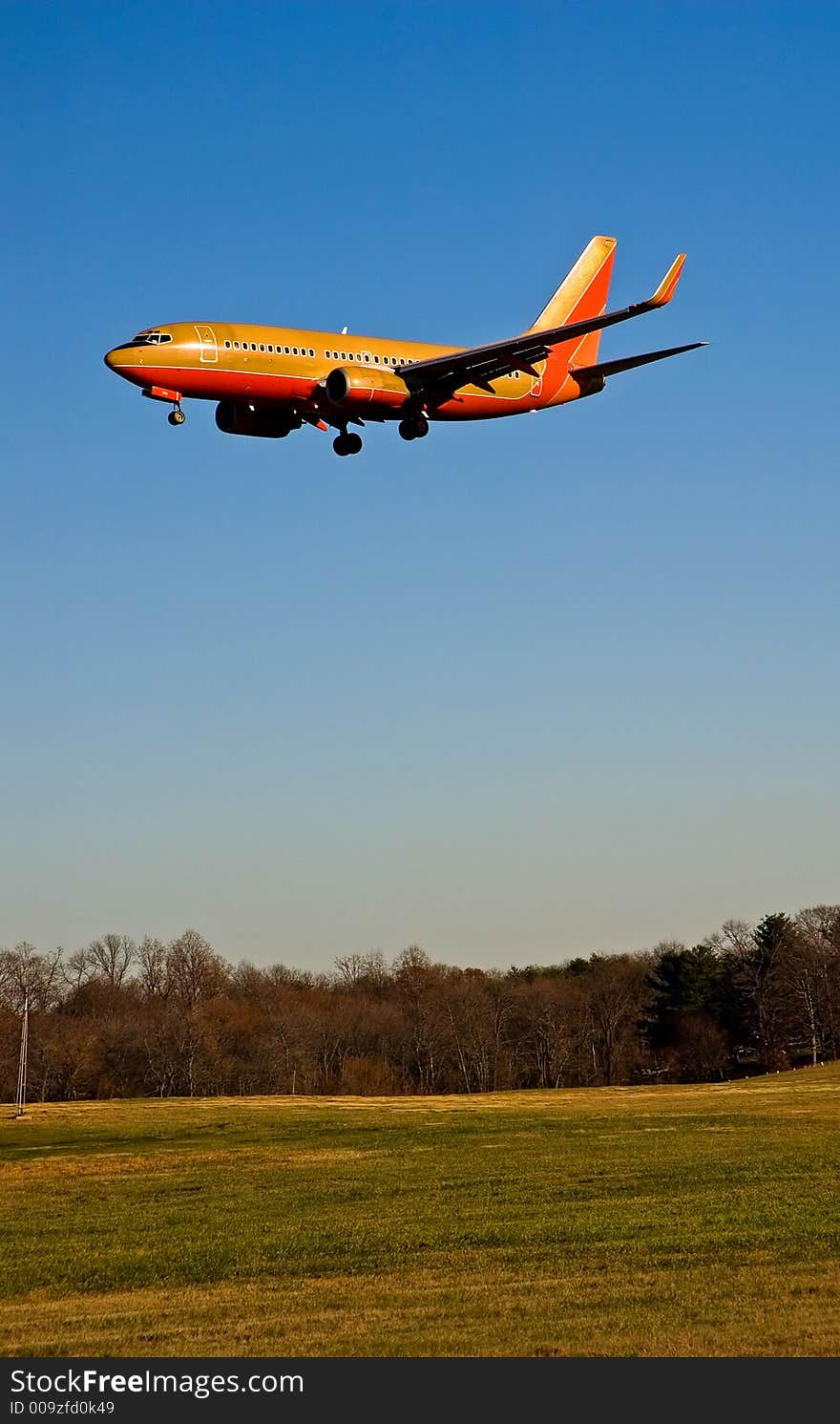 Vertical view of a colorful Boeing 737 passenger airliner with wheels down for landing. Clear and open space for text. Vertical view of a colorful Boeing 737 passenger airliner with wheels down for landing. Clear and open space for text.