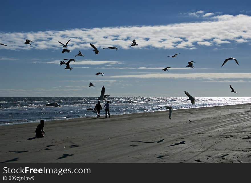 People engaged in relaxing and playful activities on a bright sunny day at the beach. People engaged in relaxing and playful activities on a bright sunny day at the beach.