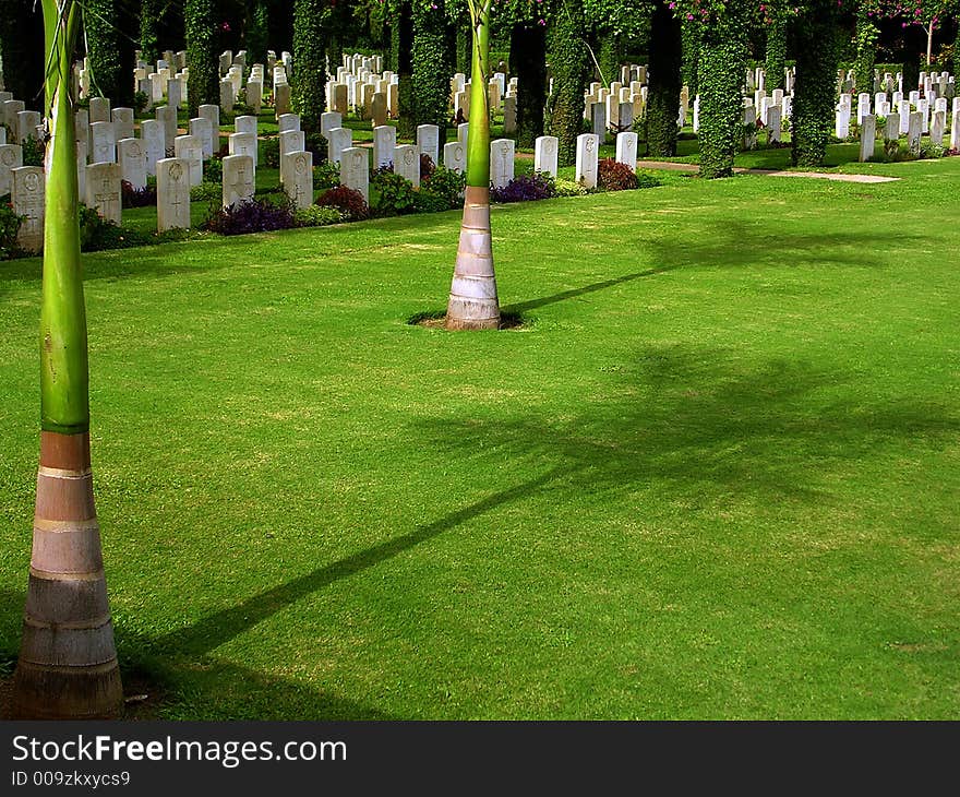 Shadow of Tree at the war cemetery