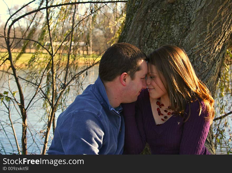 Young couple sitting under a tree. Young couple sitting under a tree