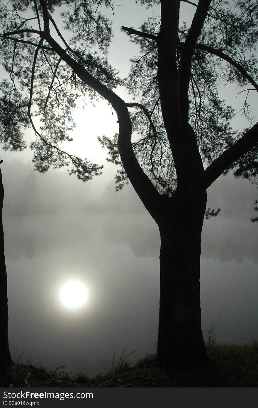 Lake in a fog