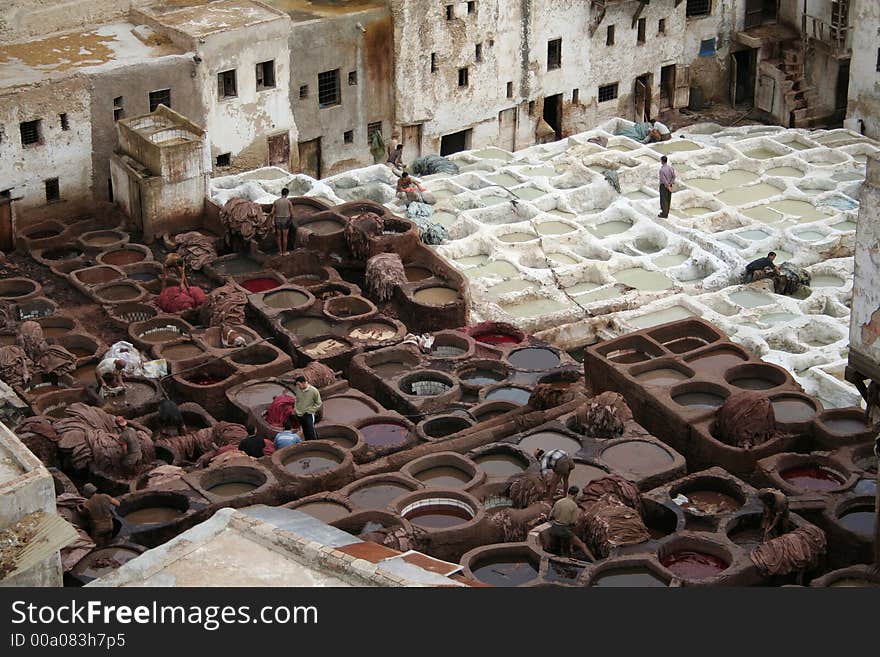 Fes Tanneries 3