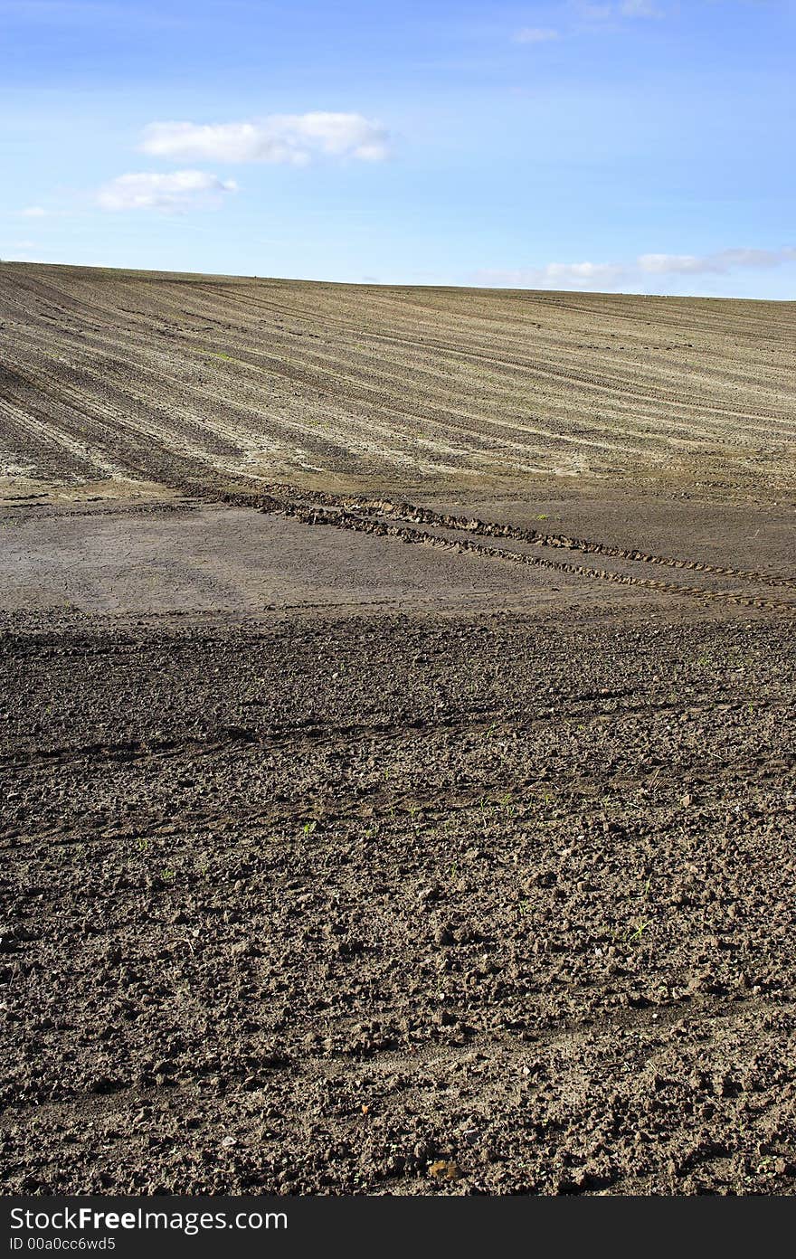 Field in sunny day in autumn