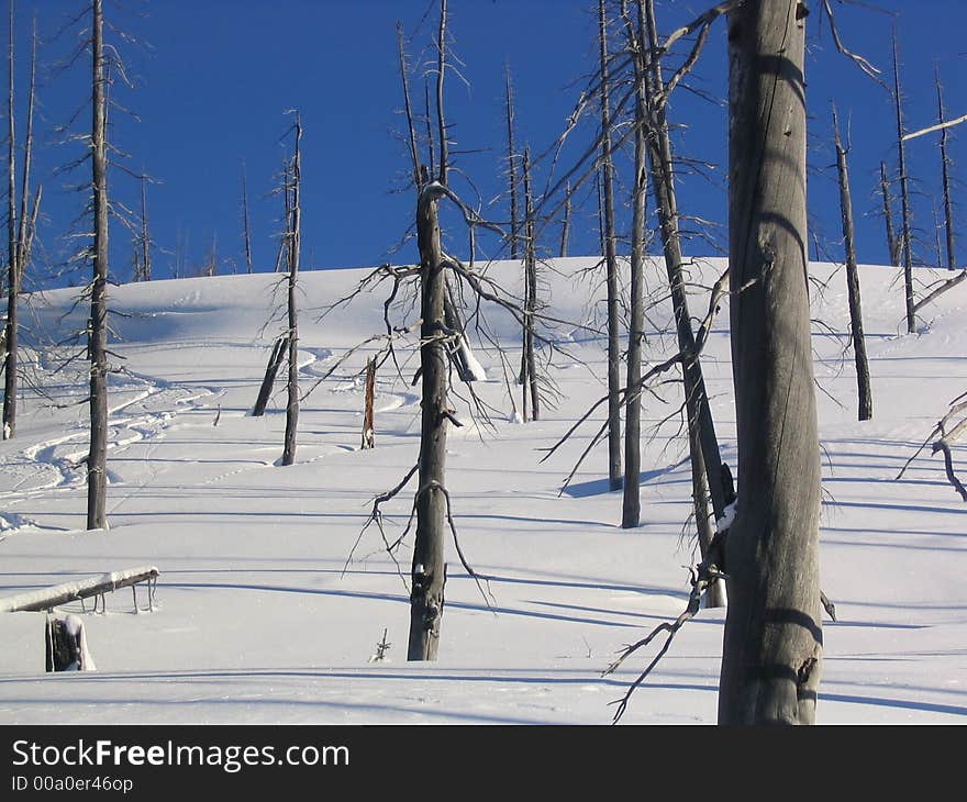 Helicopter Skiing on the Coast Mountains of northern British Columbia. Helicopter Skiing on the Coast Mountains of northern British Columbia.