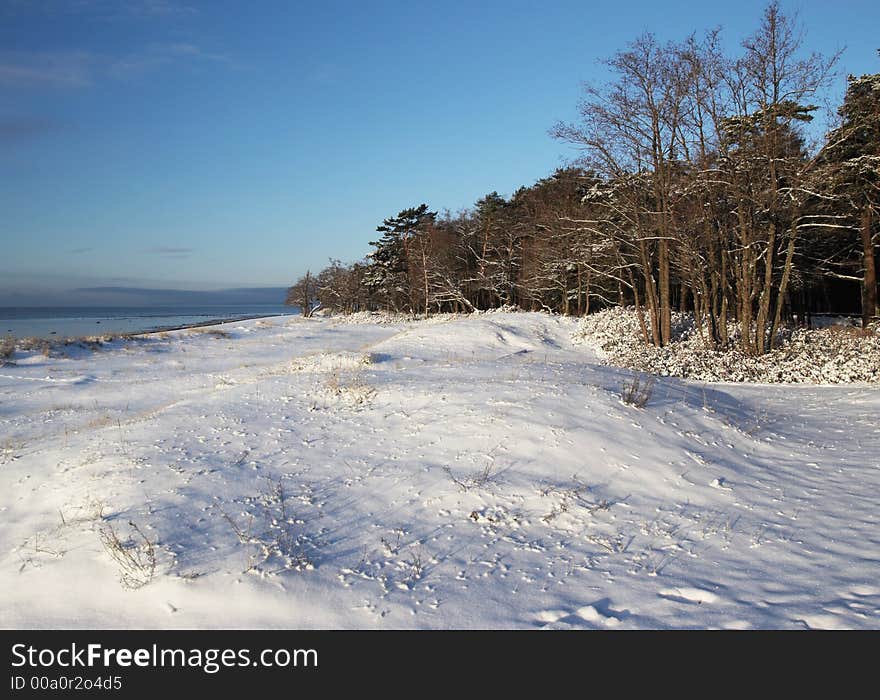 Coast of the Finnish gulf. Coast of the Finnish gulf