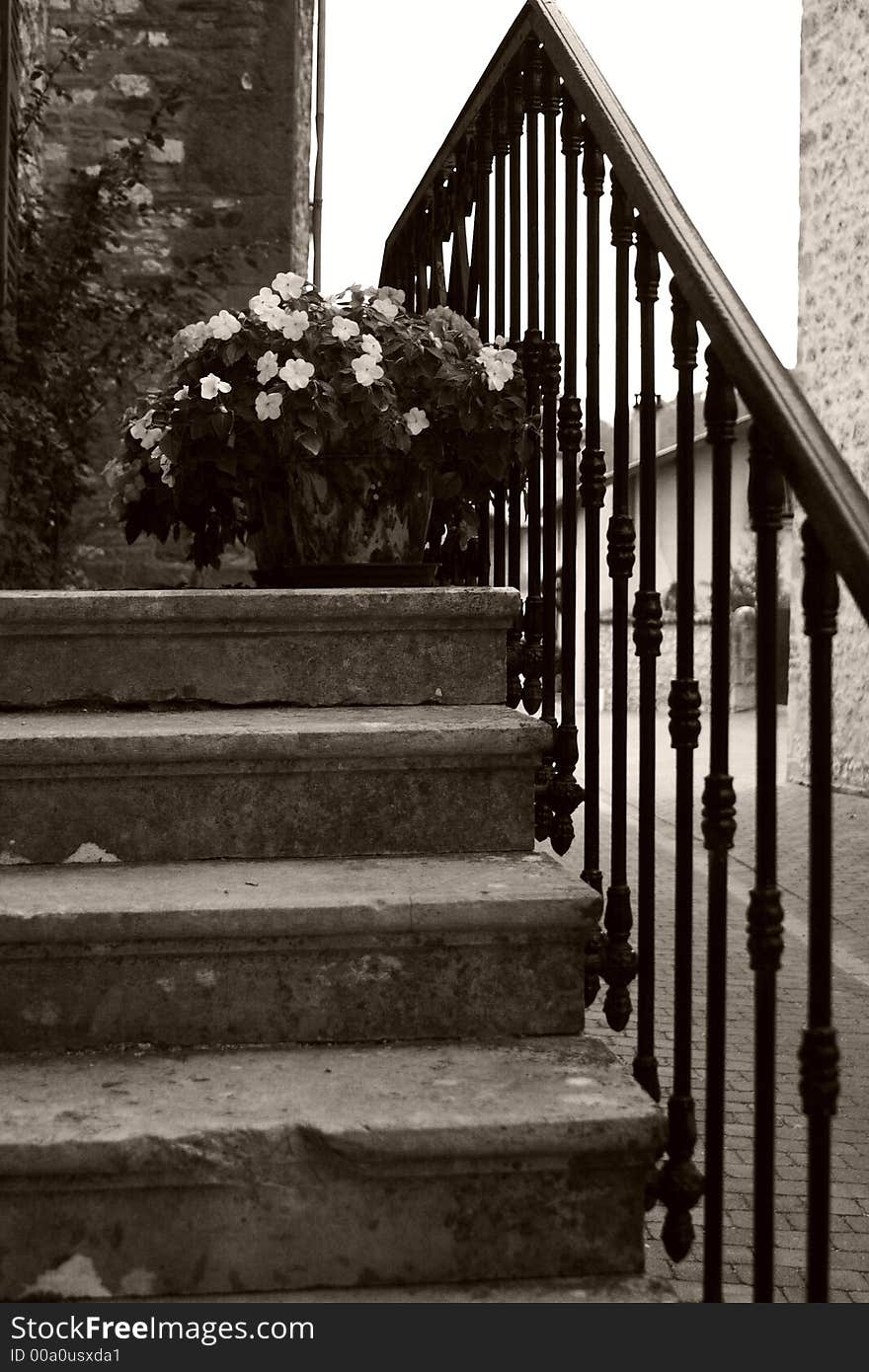 Old stairs with flowers