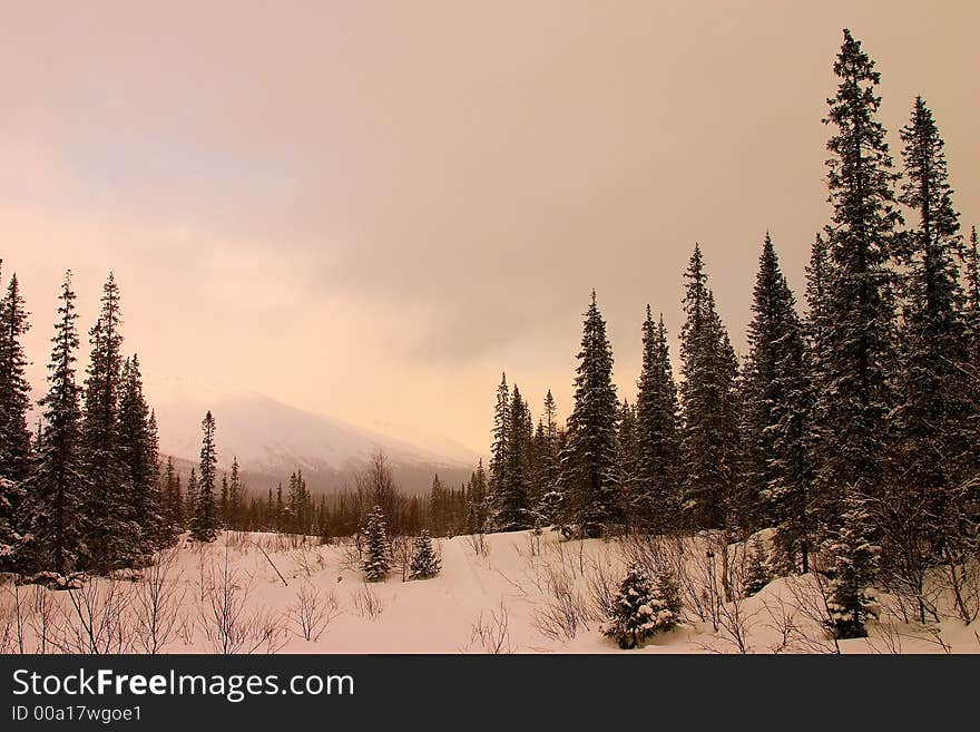 Ski trace in a valley