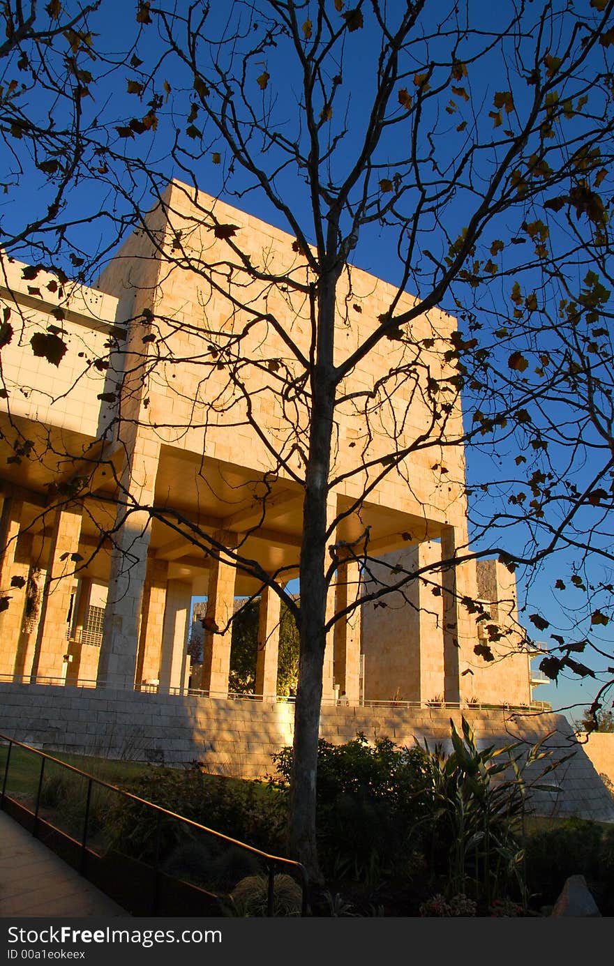 A beautiful building and blue sky behind dark tree