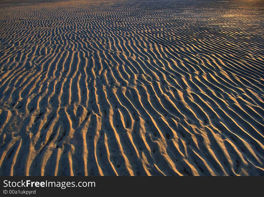 Ripples in the sand created by wind erosion. Ripples in the sand created by wind erosion