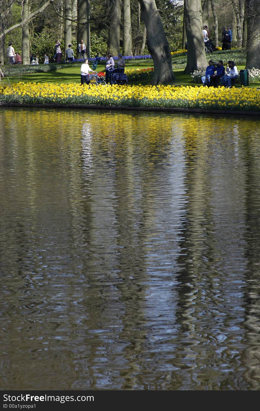 Annual tulip and flowershow at Keukenhof, Holland