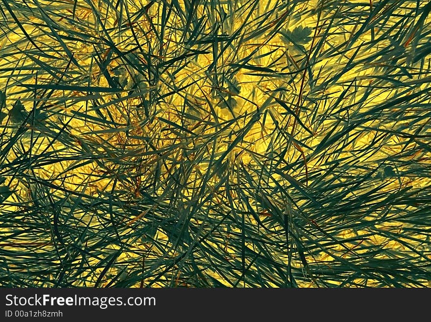 Abstract of blades of grass with a glowing yellow background. Abstract of blades of grass with a glowing yellow background.