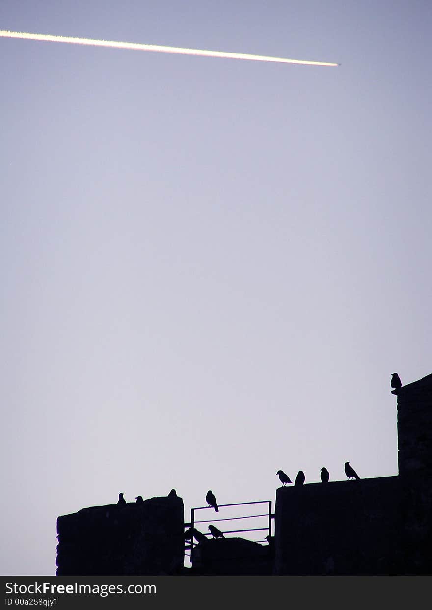 Some birds staying on a building. Some birds staying on a building