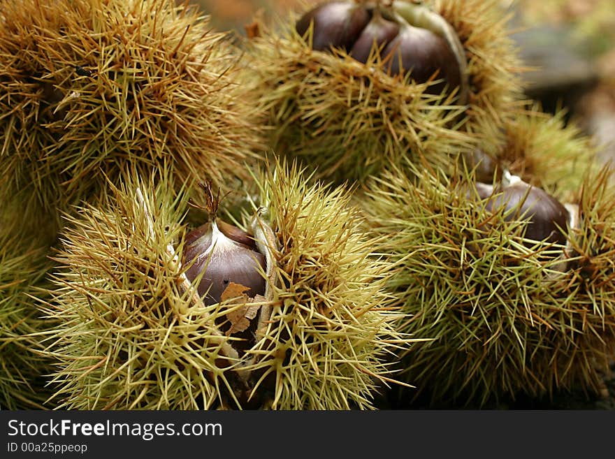 Chestnuts