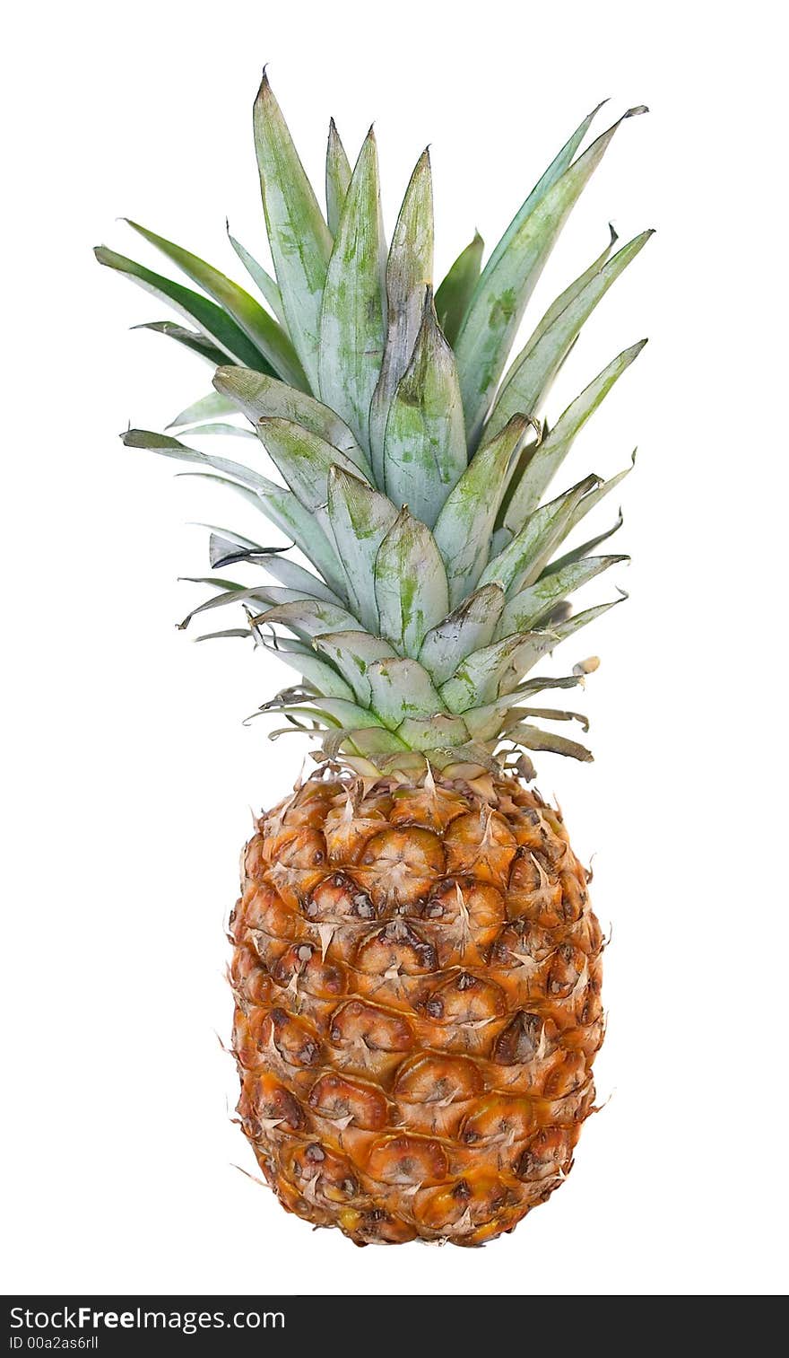 Pineapple on a white background with clipping path