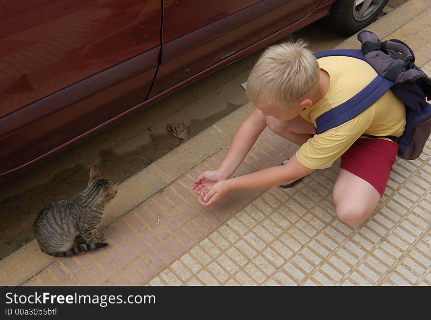 Boy Meets Kitty