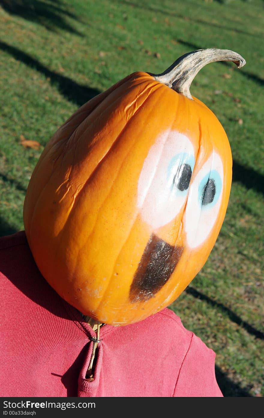 Pumpkin person portrait. This is a display set up in Canada for Halloween.