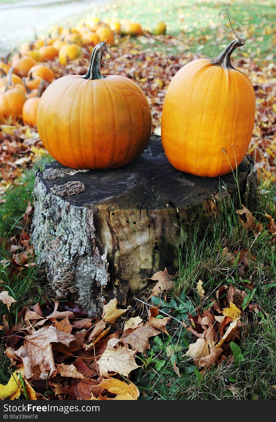 Two bright orange pumpkins on a tree stump